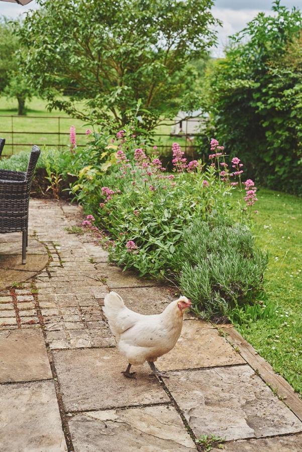 Apple Tree Cottage Beckford 외부 사진